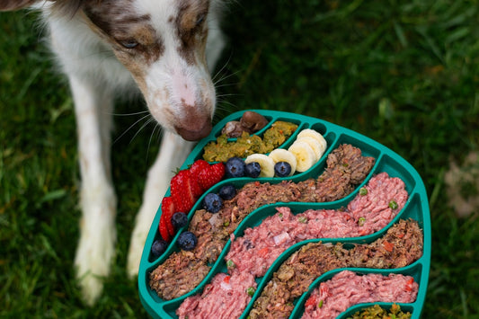 Colorful silicone slow feeder lick mat with food sections for dogs